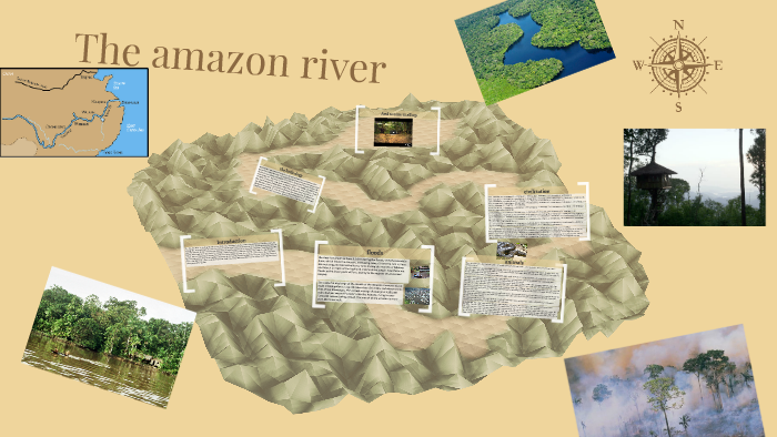 The amazon river by chico pereira on Prezi