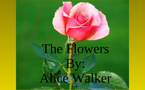 Alice Walker By Alexandra Weber