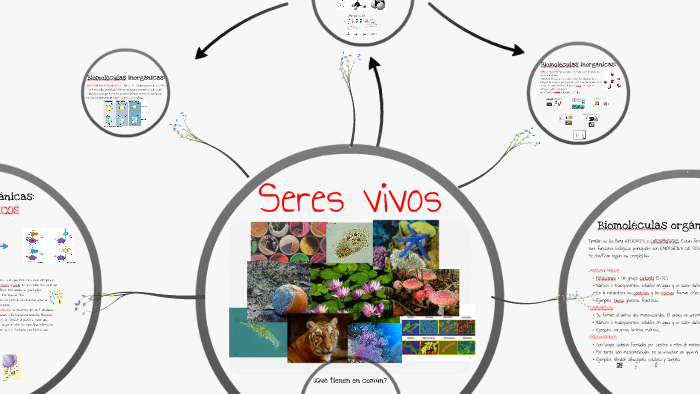 Tema 1: Componentes de la materia viva by Juanjo Cobanera on Prezi