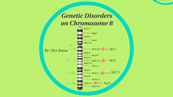 Genetic Disorders on Chromosome 8 by Alex Zecca on Prezi