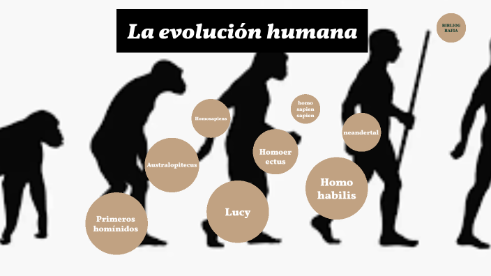 La evolución humana by Aida Arbesú Borge on Prezi