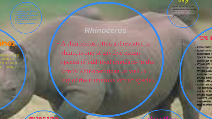 rhinoceros 6 crack italiano rhinoceros 6 crack italiano
