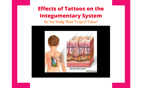 A Tattoo's Effect on the Integumentary System by Genie Zhu