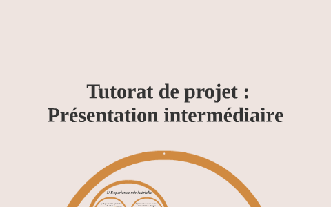 Tutorat De Projet : Présentation Intermédiaire By Georgelian Chauvet On 