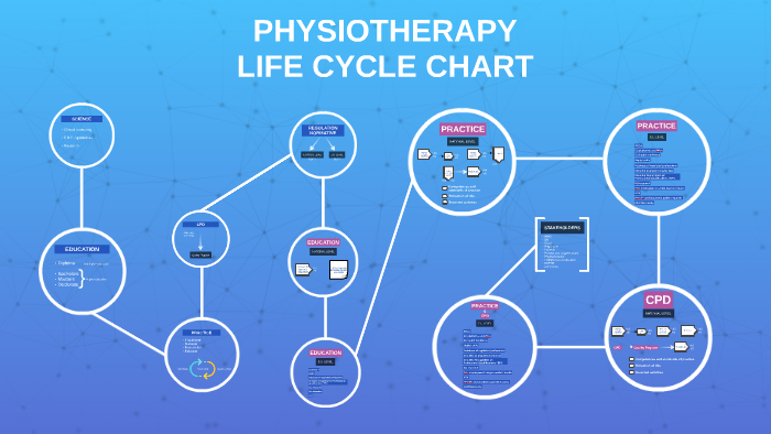 Physiotherapy life cycle chart by Wanda Cabrera