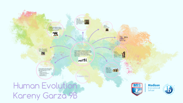 human evolution by kareny garza on Prezi