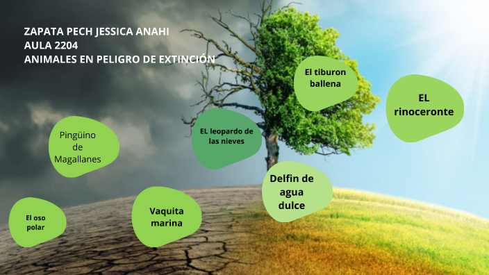 ANIMALES EN PELIGRO DE EXTINCIÓN by jessica anahi zapata PECH on Prezi