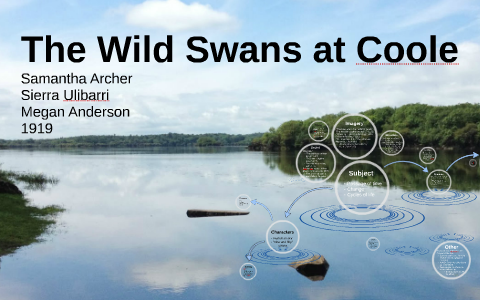wild swans at coole critical analysis