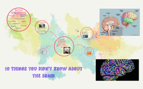 10 Things you didn't know about the brain by tara alyssa