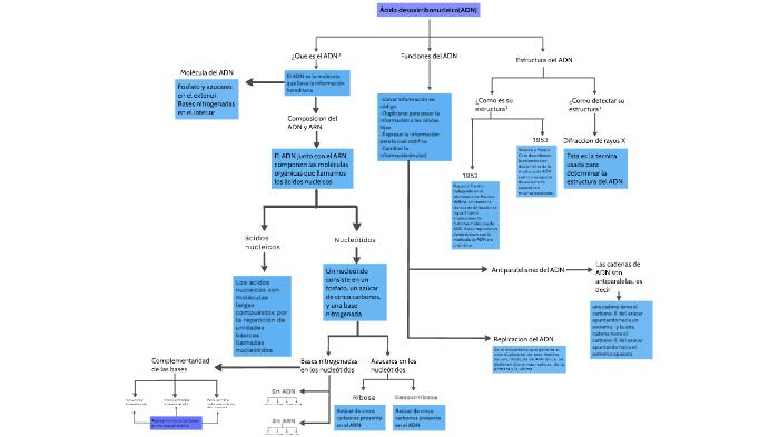 Mapa conceptual del ADN por Alvaro Jara(A-J) by A-J 8 on Prezi Next