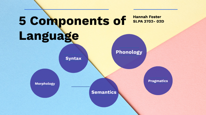 5-components-of-language-by-hannah-foster