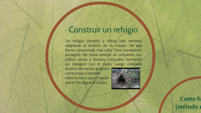 VAMOS A SOBREVIVIR EN LA SELVA by Chaimae El Boukhrissi on Prezi