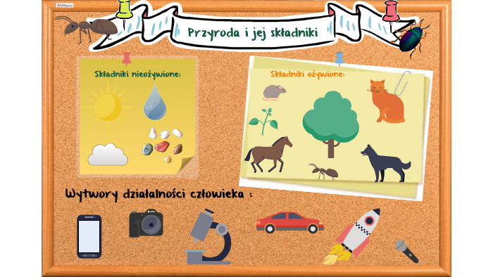 Przyroda I Jej Składniki Klasa 4 Przyroda i jej składniki by Aleksandra Błażejewska on Prezi