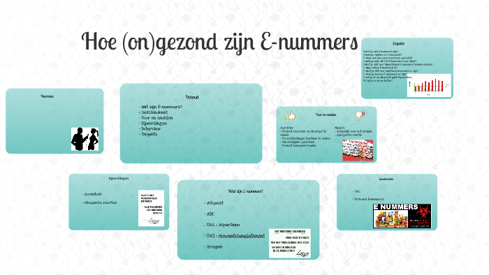 E-nummers ja of nee by Project alles on Prezi