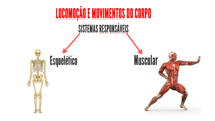 LOCOMOÇÃO E MOVIMENTOS DO CORPO by JOAO GABRIEL PADUA on Prezi