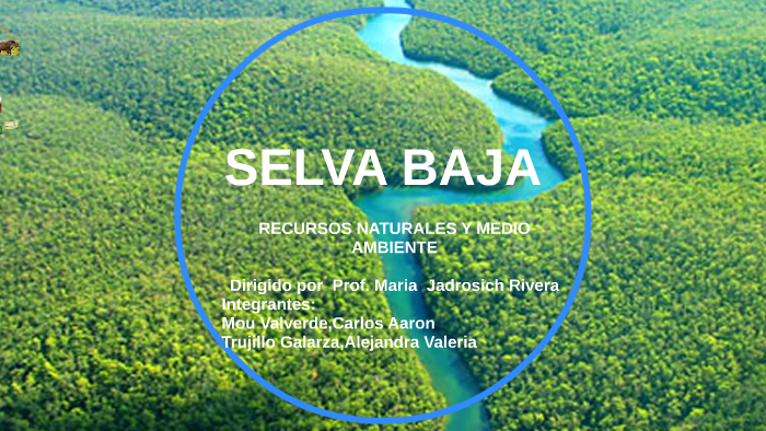 SELVA BAJA by Valeria True on Prezi