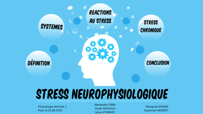 Neurophysiologie - Stress by Savannah Mnt on Prezi