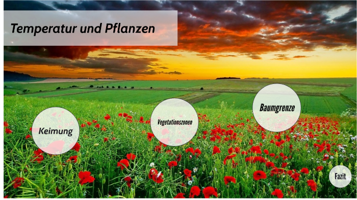 Temperatur und Pflanzen by Johanna Hamann on Prezi