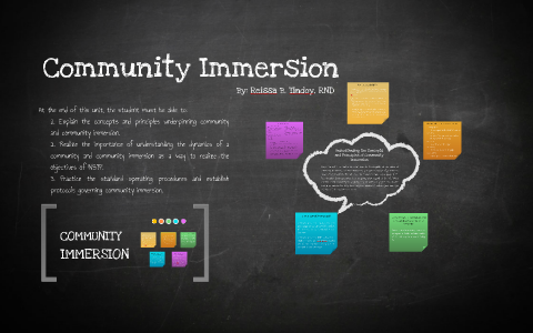 community immersion essay