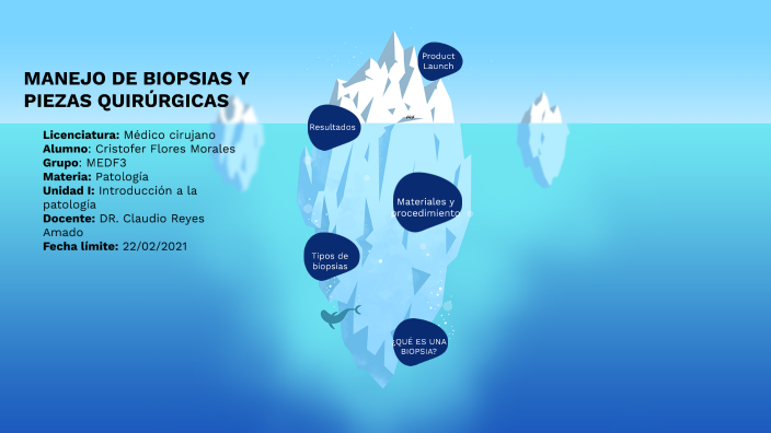 Conservacion De Biopsias Y Piezas Quirurgicas prezi.com