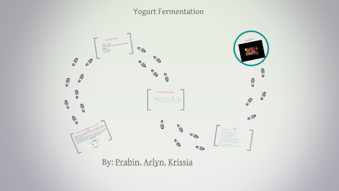 Yogurt Fermentation by Prabin Lama - 6s7f7sqgzz7zhtgjus5vowzvu36jc3sachvcDoaizecfr3Dnitcq 3 0