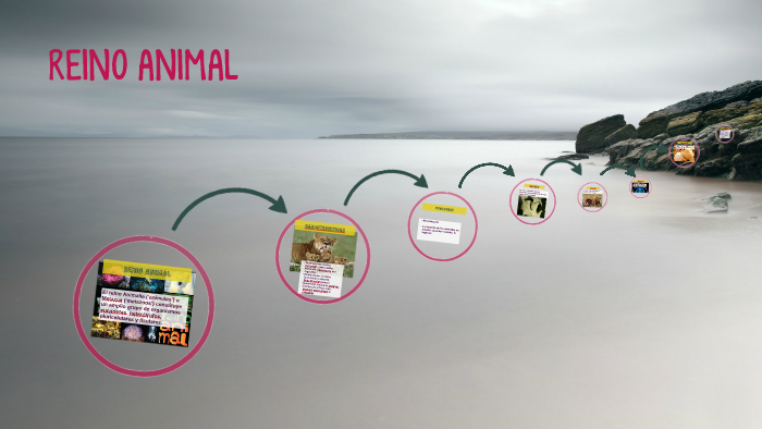REINOS DE LA NATURALEZA by jose sanchez on Prezi