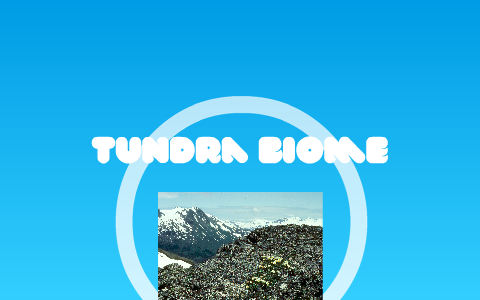 Tundra And Taiga Biome By Ty Lang On Prezi