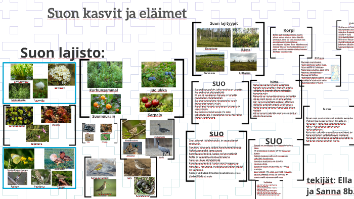 Suon kasvit ja eläimet by Sanna Nurmi