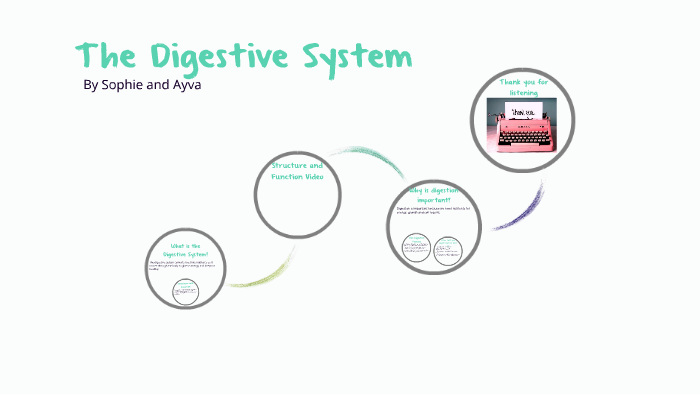 The Digestive System by Sophie Allan on Prezi