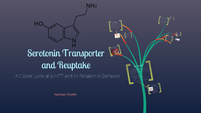 serotonin transporter