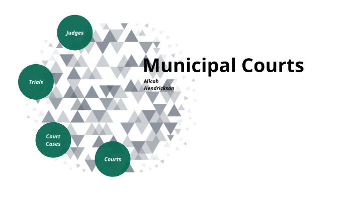 municipal-courts-by-micah-hendrickson