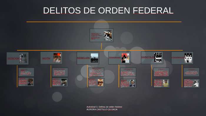 DELITOS DE ORDEN FEDERAL by Aurora Boreal on Prezi