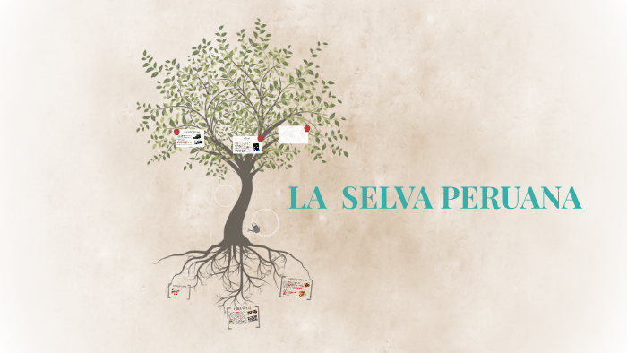 LA SELVA PERUANA by denise lujan on Prezi