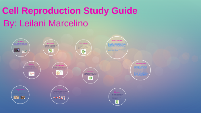 Cell Reproduction Study Guide by Leilani Marcelino on Prezi