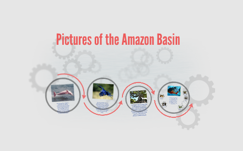 Pictures of the Amazon Basin by Bisher Nasir on Prezi