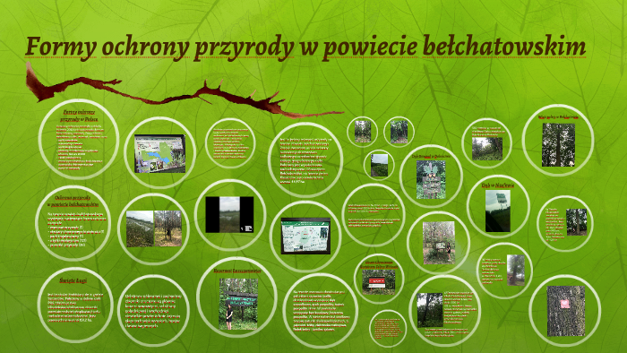 Formy Obszarowej Ochrony Przyrody Formy ochrony przyrody w powiecie bełchatowskim by Gosia Malańska on Prezi