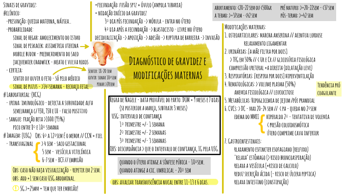 PROBABILIDADE DE GESTAÇÃO: SINAL DE PISKACEK