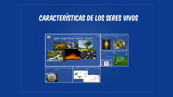 Carácteristicas de los seres vivos by on Prezi