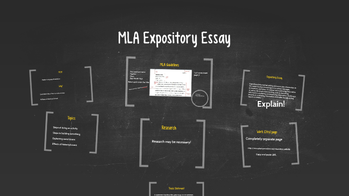 mla format expository essay example