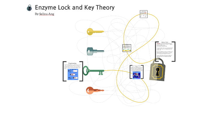 Enzyme Lock and Key Theorem by Selina Ang on Prezi
