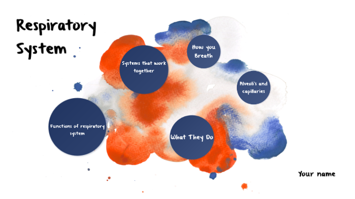 Respiratory System by Lucas Kopp on Prezi