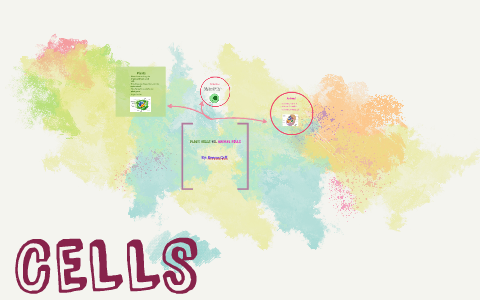 Plant Cells vs. Animal Cells by Brenna Orff on Prezi