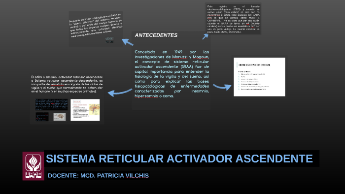 función del sistema de activación reticular