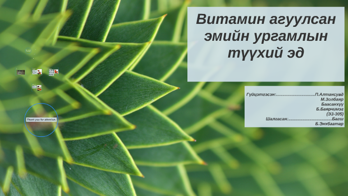 Витамин агуулсан эмийн ургамлын түүхий эд by Золбаяр Золоо on Prezi