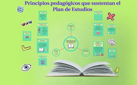 PRINCIPIOS PEDAGÓGICOS QUE SUSTENTAN EL PLAN DE ESTUDIOS by Daniela ...