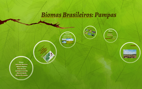Biomas Brasileiros: Pampas by Beatriz Baptista on Prezi