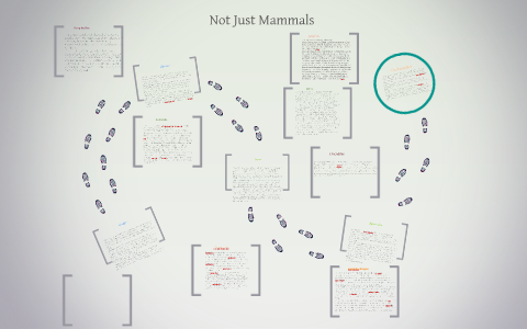 Not Just Mammals by Brenna Conner on Prezi