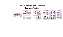 cell membrane drawing