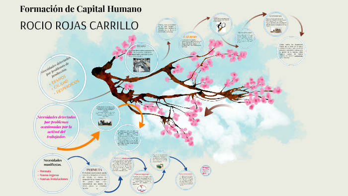 Formación de Capital Humano by GILBERTO LOPEZ on Prezi