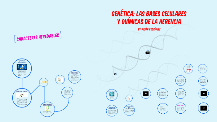 GENÉTICA: Las bases celulares y químicas de la herencia By Julián